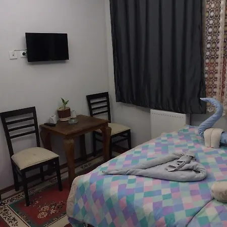 Artemis Apart&otel * Bursa