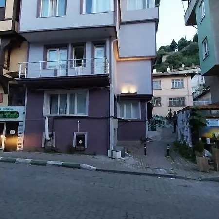 Artemis Apart&otel Bursa