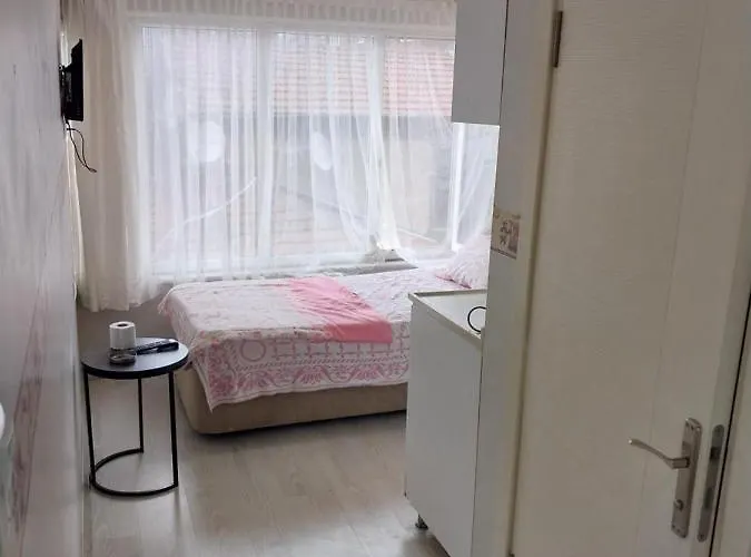 Apartament Artemis Apart&otel Bursa