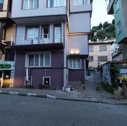 Artemis Apart&otel Bursa