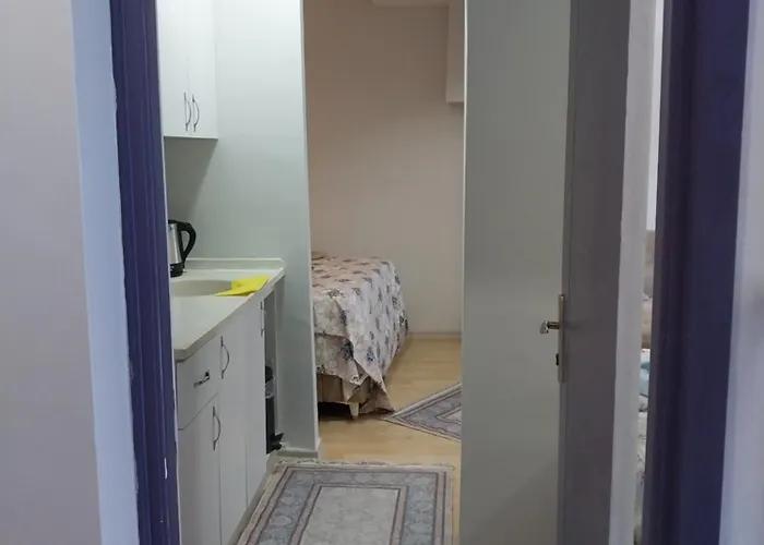 Artemis Apart&otel *