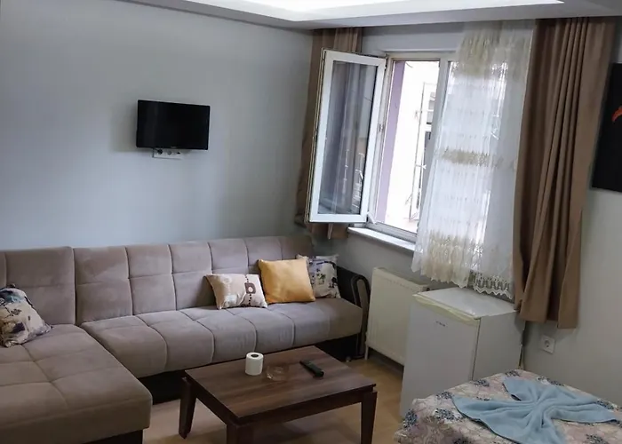 Artemis Apart&otel * Bursa