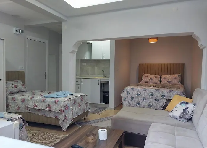 Artemis Apart&otel * Bursa